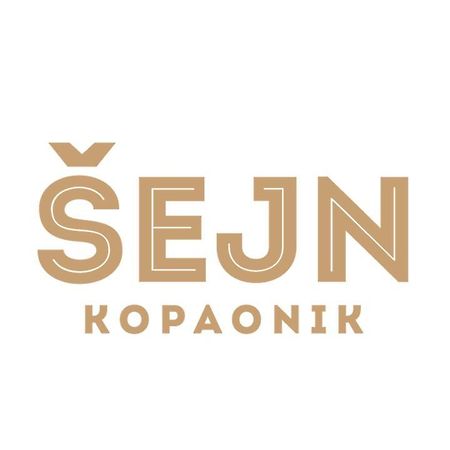 Guesthouse Sejn Kopaonik Zewnętrze zdjęcie