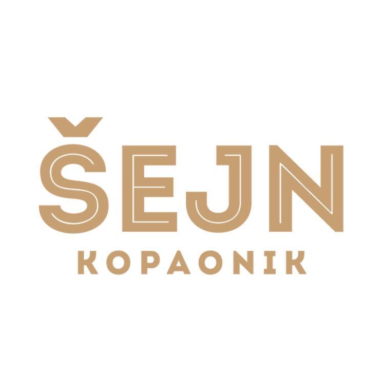 Guesthouse Sejn Kopaonik Zewnętrze zdjęcie
