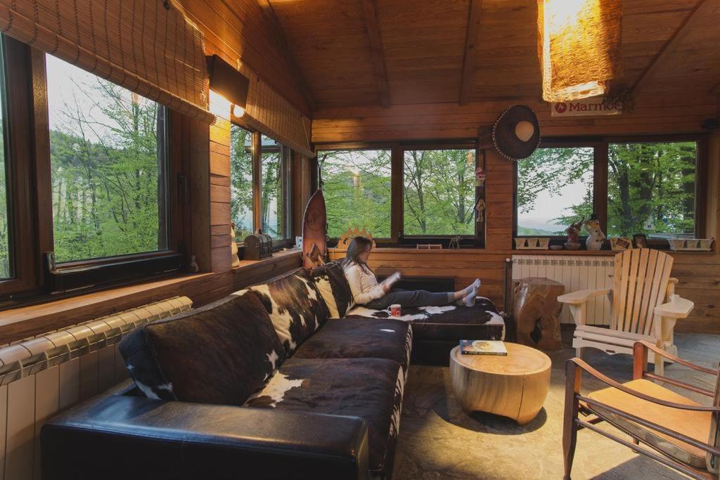 Guesthouse Sejn Kopaonik Zewnętrze zdjęcie