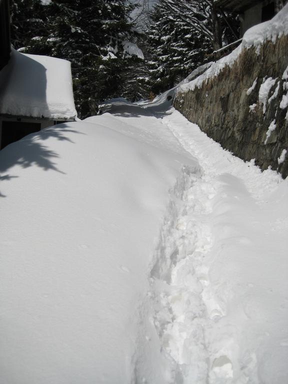 Guesthouse Sejn Kopaonik Zewnętrze zdjęcie