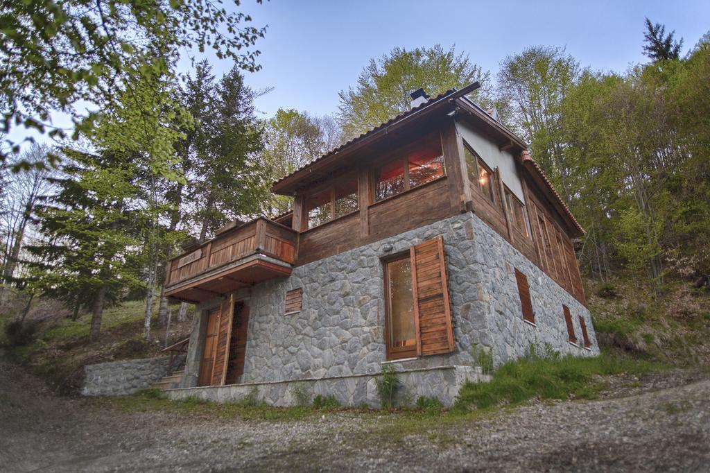 Guesthouse Sejn Kopaonik Zewnętrze zdjęcie