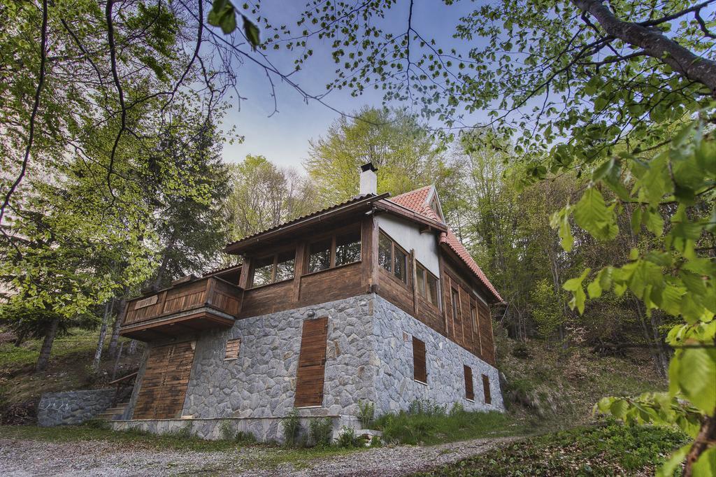 Guesthouse Sejn Kopaonik Zewnętrze zdjęcie