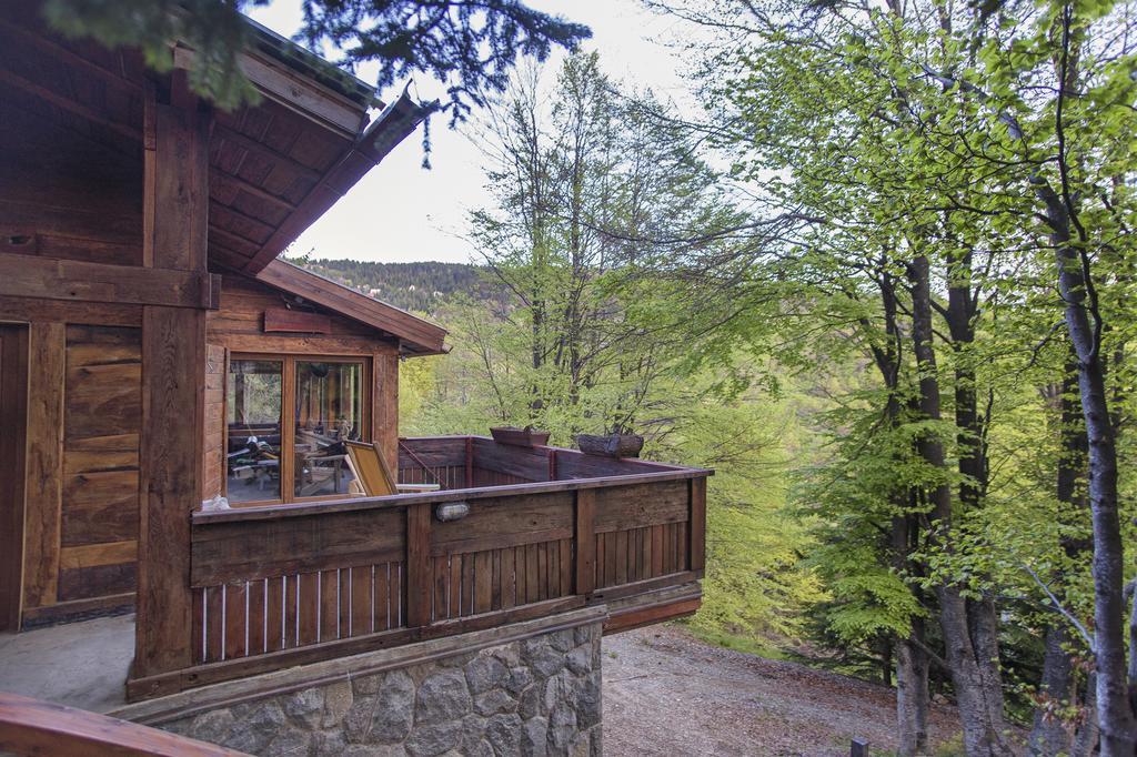 Guesthouse Sejn Kopaonik Pokój zdjęcie